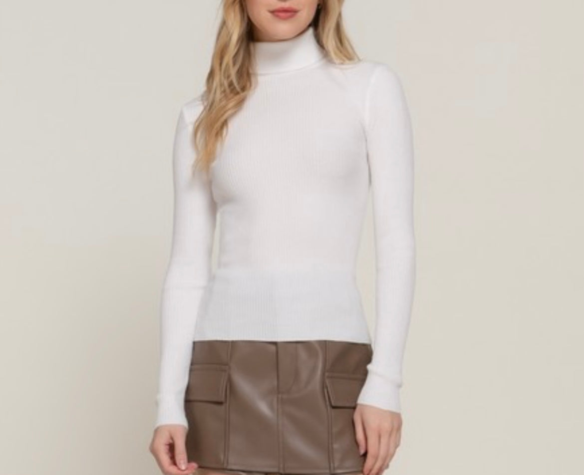Diane Long Sleeve Turtle Neck