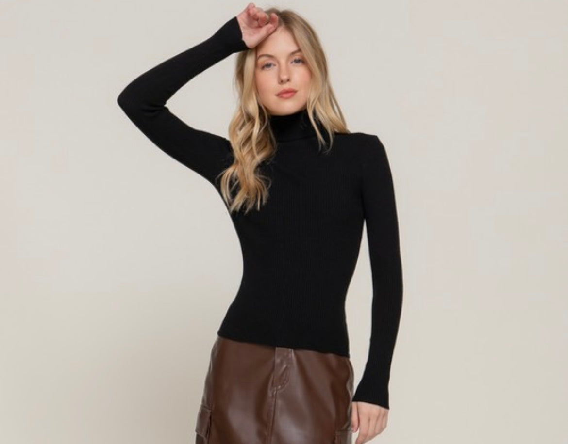 Diane Long Sleeve Turtle Neck