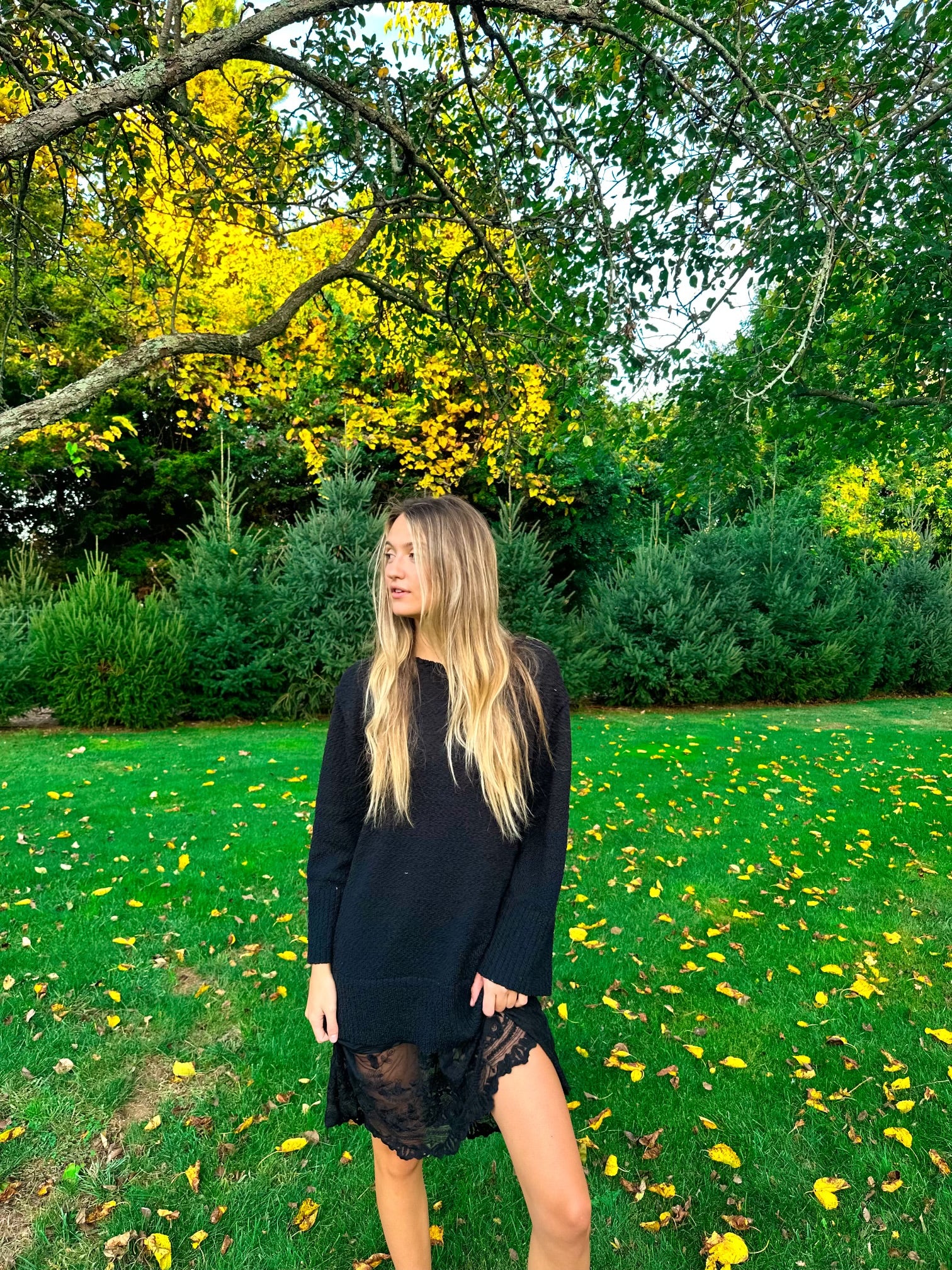 Blair Sweater Dress